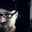 Joe Beaty's profile image