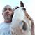 David Roll's profile image