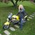 Amanda Constable's profile image