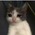 Rekha Samitsombat's profile image