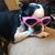 Debbie Dayton's profile image