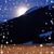 Tammy Duncan Haley's profile image