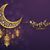 Hafsa Rauf's profile image