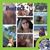 Sharon Stevens Hammond's profile image