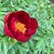 Jessica Cadreau's profile image