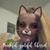 LisaBrad Whitney's profile image