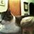Jean Sanders McRoberts's profile image