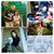Neal Han Schatz's profile image