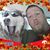 Wayne Fort's profile image