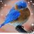 Namaste Blue's profile image