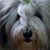 Demmi Brooker's profile image
