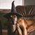 Ted Benjamin Williams's profile image