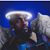 Edgar Garcia's profile image