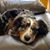 Becky Eldredge's profile image