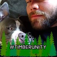 Mike Mitchell's profile image