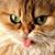 Bob Lavendusky's profile image