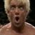Dan Aultman's profile image