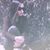 Genevieve Calpito's profile image