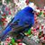 Donna Lynch's profile image