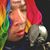 Nook Pham Nguyen's profile image