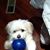 Elizabeth Walker's profile image