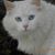 Terrie Lewallen's profile image