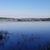 Debi Blume Melillo's profile image