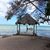 Heather Trotta Almony's profile image