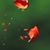 FishHawk Dynasty's profile image