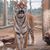 Merilee Schuetz's profile image