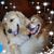 Denise Baillie Frisbie's profile image