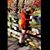Kristina Talbot-Koehl's profile image
