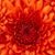 Griselda Medina's profile image