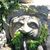 Tina Marie's profile image