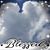 Rita Scarfo Morgan's profile image