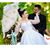 Noorhan Youssef's profile image