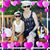 Patti Buchan's profile image