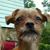 Debbie Shoemaker King's profile image