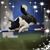 Jami Olmstead Campisi's profile image