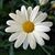 Christine Green's profile image