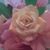 Robin Burke's profile image