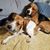 Shari Hewitt Waddell's profile image