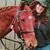 Lori Harrington's profile image