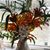 Carol Carnes Dickerson's profile image