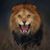 Jennifer D. Arbuckle's profile image