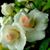 OlgaLuis Muguercia's profile image