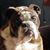 Dennis Weaver's profile image
