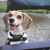 Sue Miller's profile image