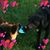 Nan Sommerfeldt's profile image