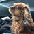 Tim Cusack's profile image